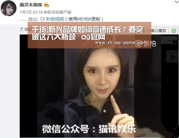 干货|新兴品牌如何高速成长?要突破这六大瓶颈-ag官网(图2) ag官网