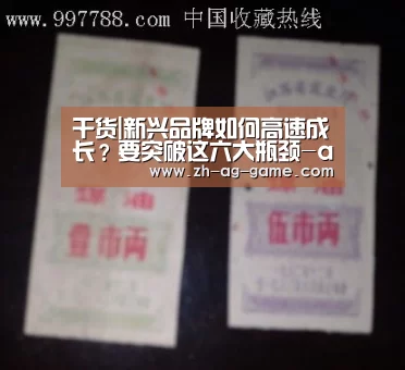 干货|新兴品牌如何高速成长?要突破这六大瓶颈-ag官网(图3) ag亚娱