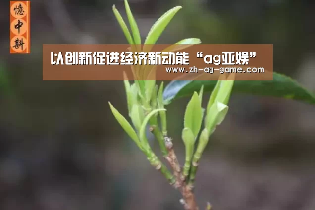 以创新促进经济新动能“ag亚娱”(图3)
