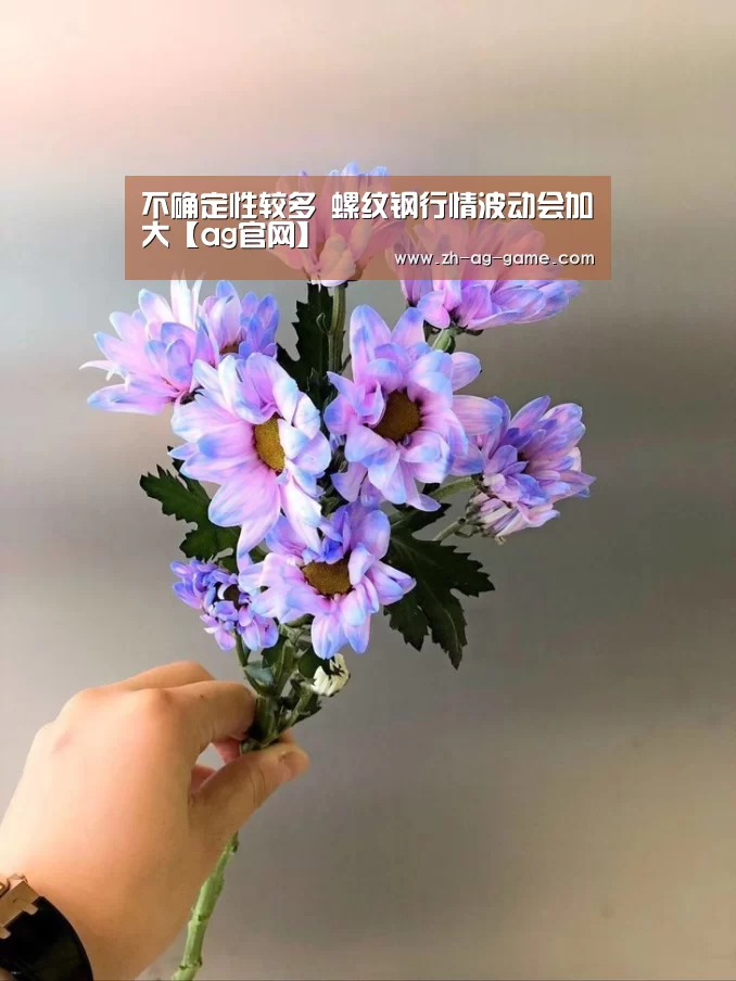 不确定性较多 螺纹钢行情波动会加大【ag官网】(图3) 不确定性较多 螺纹钢行情波动会加大【ag官网】(图3)
