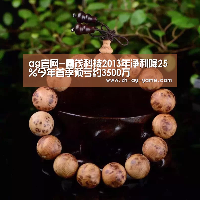 ag官网-鑫茂科技2013年净利降25%今年首季预亏约3500万(图3) ag官网-鑫茂科技2013年净利降25%今年首季预亏约3500万(图3)