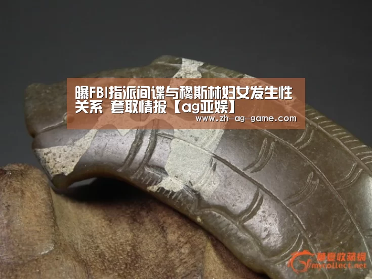 曝FBI指派间谍与穆斯林妇女发生性关系 套取情报【ag亚娱】(图1) 亚娱